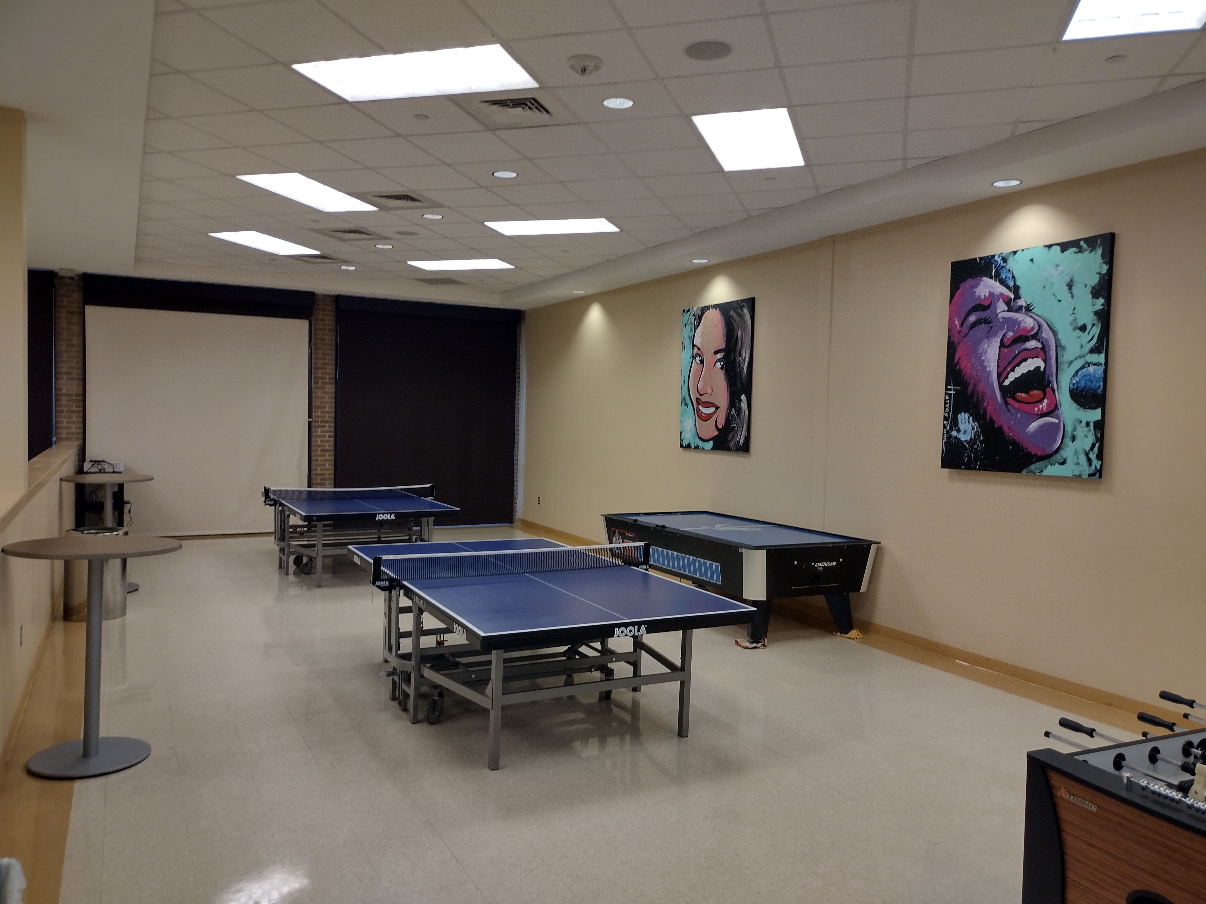 Ping Pong Area